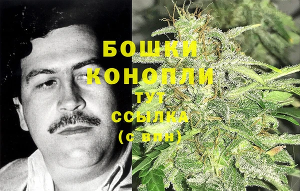 сатива Надым