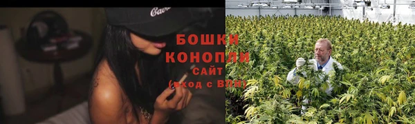 сатива Надым