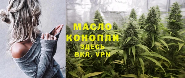 сатива Надым