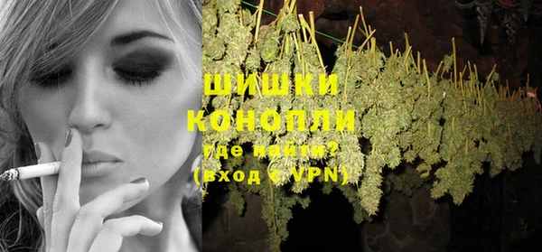 сатива Надым