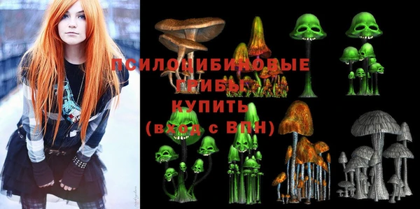 сатива Надым