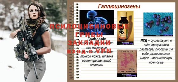 ГАЛЛЮЦИНОГЕННЫЕ ГРИБЫ Михайловск