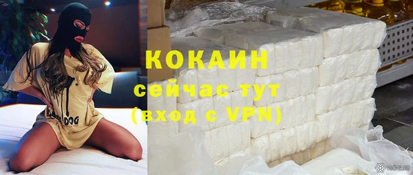 сатива Надым