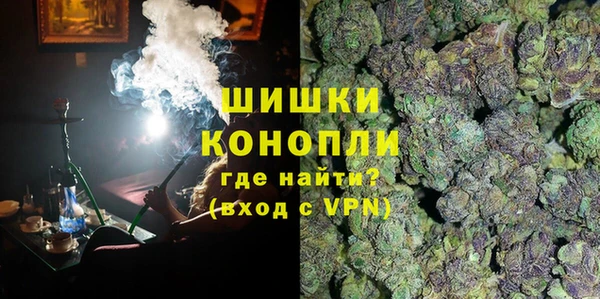 сатива Надым