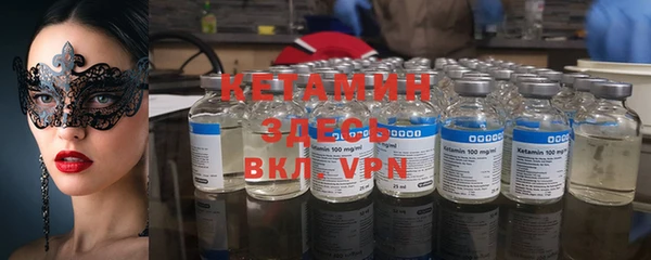 сатива Надым