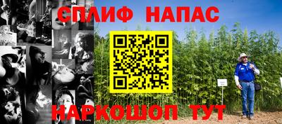 прущая мука Будённовск