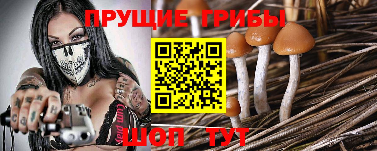 Псилоцибиновые грибы Magic Shrooms  Псилоцибиновые грибы GOLDEN TEACHER  Димитровград 