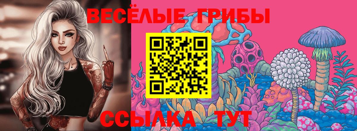 Галлюциногенные грибы ЛСД  купить наркоту  Димитровград  Галлюциногенные грибы ЛСД 