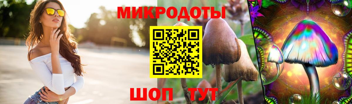 Галлюциногенные грибы ЛСД Димитровград