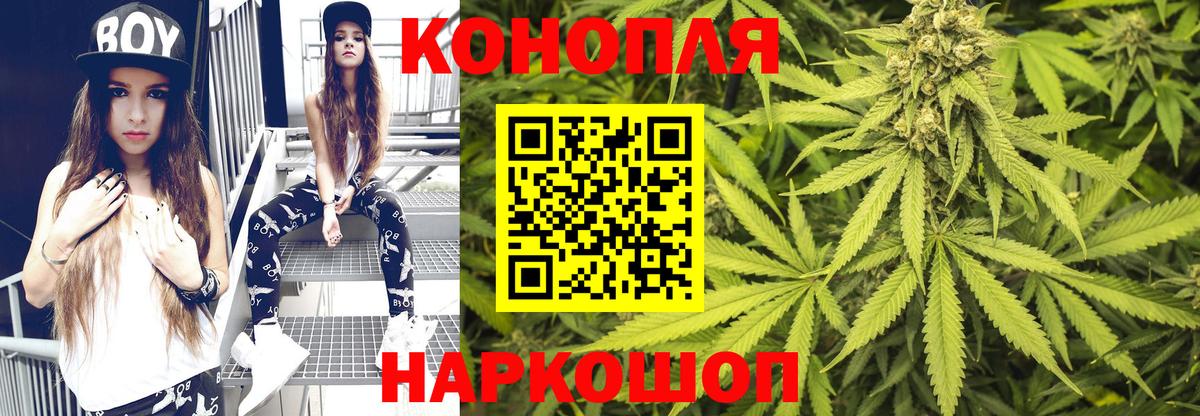 Конопля SATIVA & INDICA  Димитровград 